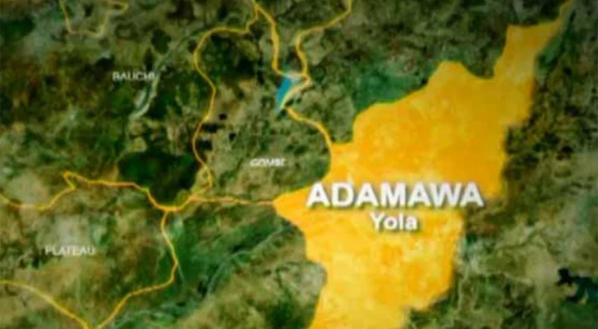B’Haram kills police officer, seven others in Adamawa