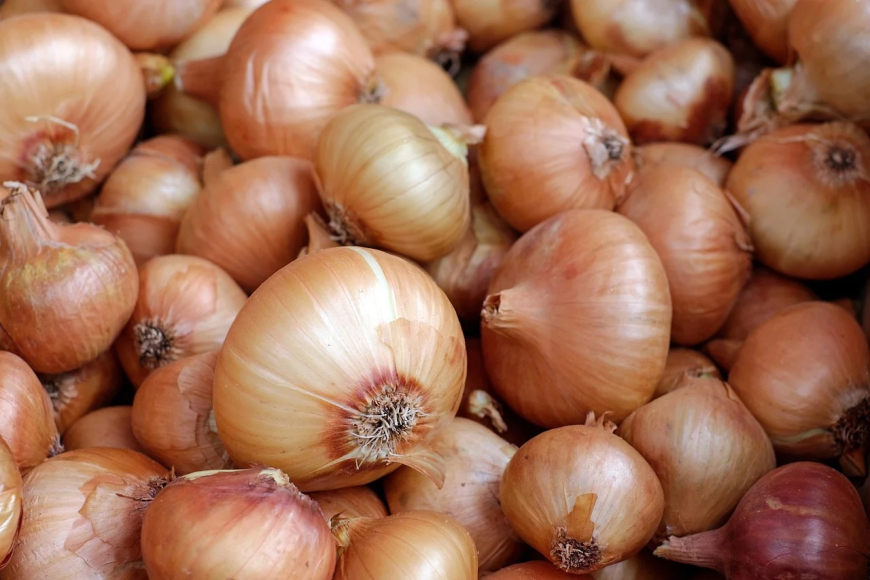 Nigerian onion traders resume exports to Ghana