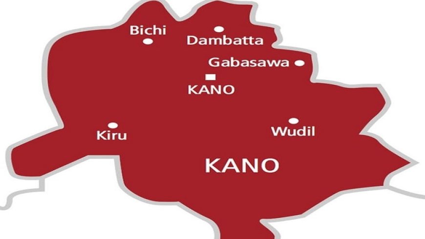 Kano taskforce sets up committees to fight drug trafficking