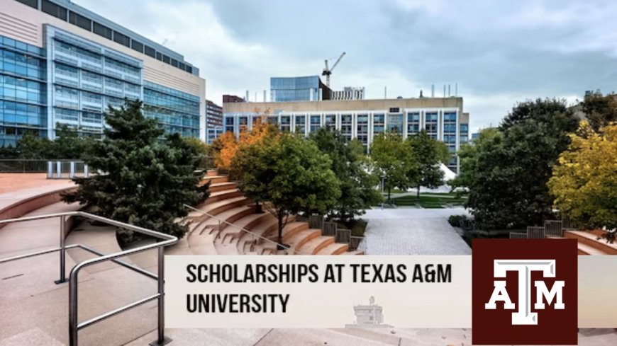 Texas A&M University Graduate Scholarship in USA 2027 | Fully Funded
