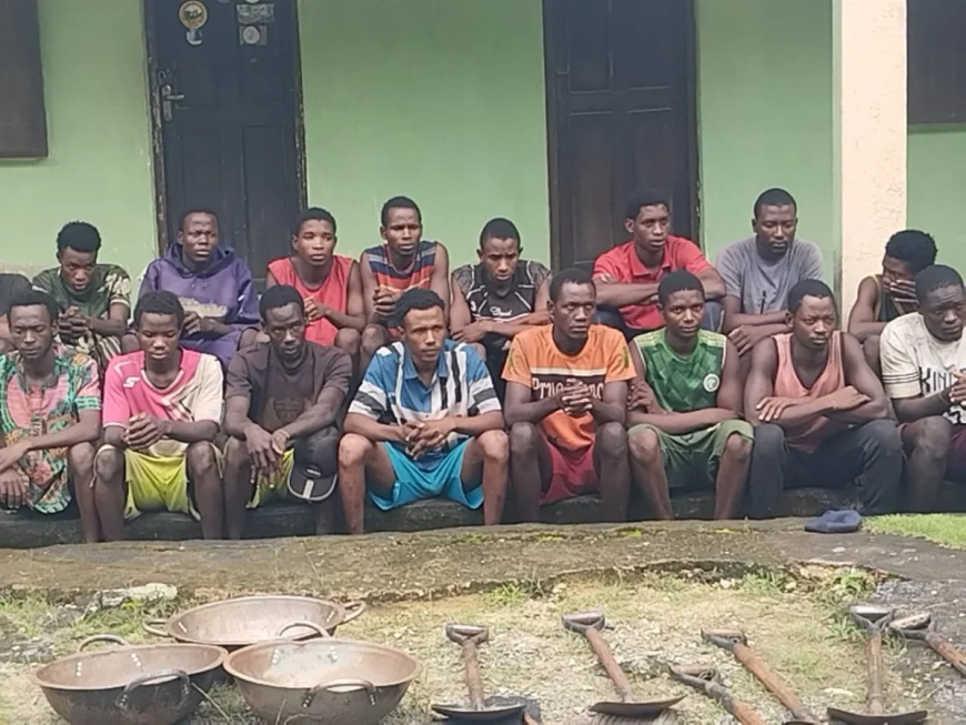 C’River national park arrests 17 miners over encroachment