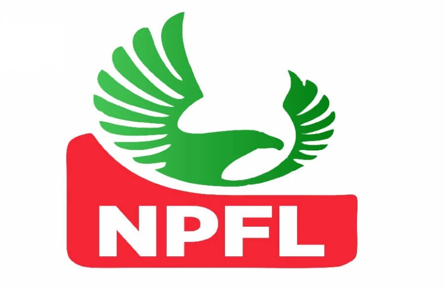 NPFL clubs to get 60% of new $7.5m sponsorship deal