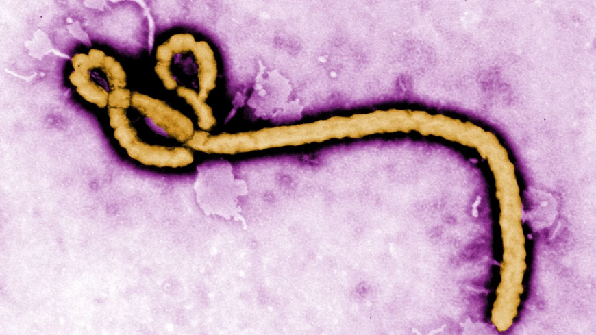 Ebola ‌kills 2,700 in DRC as UN chief seeks $1.1bn