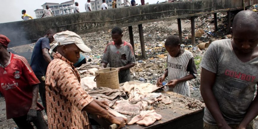 Lagos to turn abattoir waste into biogas, fertiliser