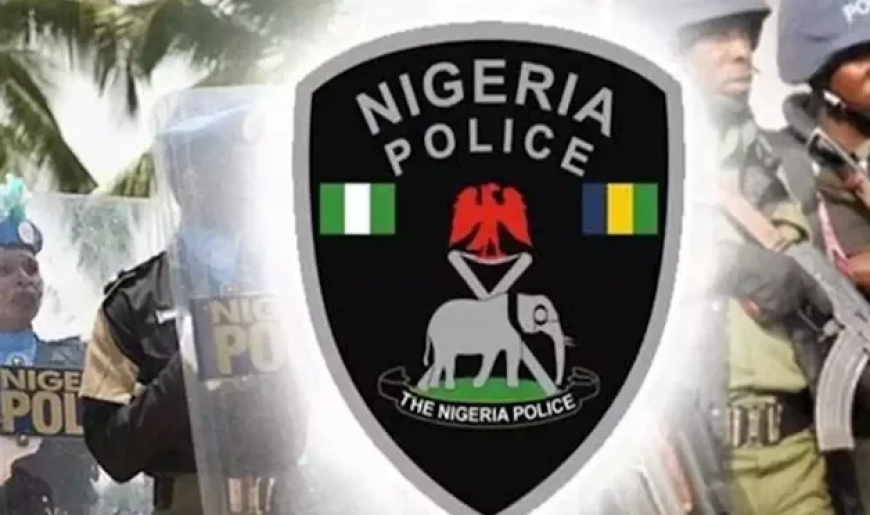 Police arrest two armed robbery suspects in Adamawa