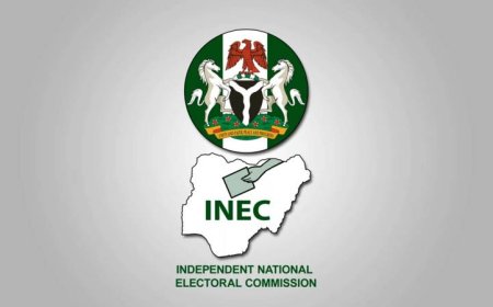 2027: INEC probes source of ‘strange’ names in NDC list