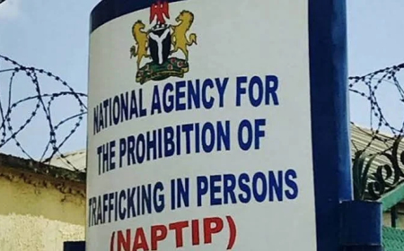 NAPTIP decries CSOs’ involvement in human trafficking