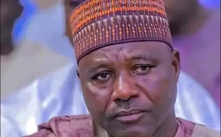 Borno commissioner who threatened to flog opposition apologises