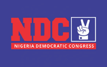 NDC demands INEC portal audit over 10 Anambra candidates