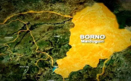 Borno APC gov candidate escapes death as terrorists ambush convoy