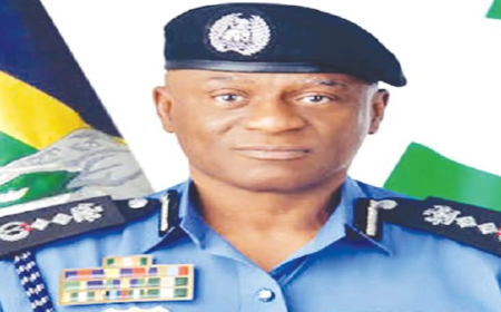 Lagos family petitions IG, accuses police of shielding alleged land grabbers