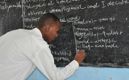 How BSc, HND, ND holders can apply for FG’s six-month teacher certification