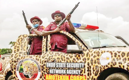 Amotekun, NDLEA collaborate to end drug abuse in Oyo