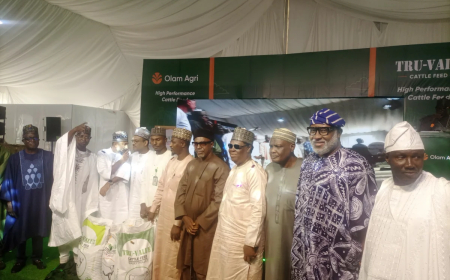 FG to ban open slaughter of livestock, pushes modern abattoirs