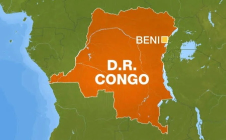 DR Congo stampede after school fire kills 14 children