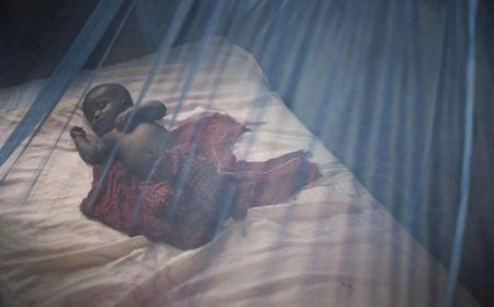 Nigeria starts local production of dual-active mosquito nets