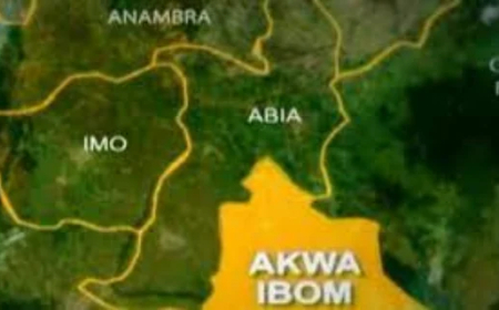 Police raid criminal hideout in A’Ibom, arrest two suspected drug dealers