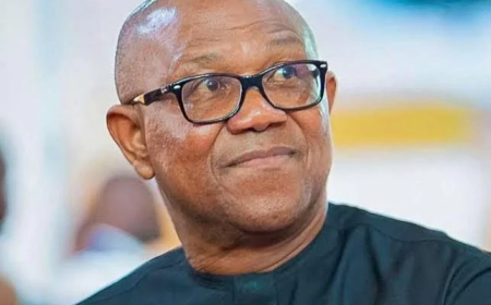 LP chieftain sues WAEC, UNN, NYSC over Obi’s credentials