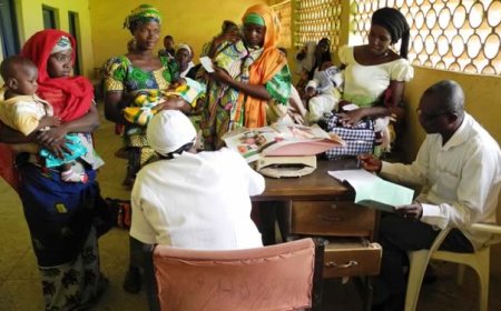Only 3% of PHCs meet minimum staffing requirements – Report