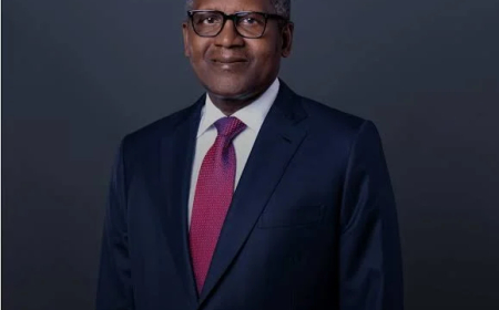 I don’t want to be called the richest man in Africa — Dangote