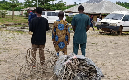 NSCDC nabs father, son for electricity cable theft in Osun