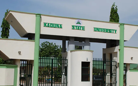 Kaduna varsity workers reject selective implementation, demand equal pay