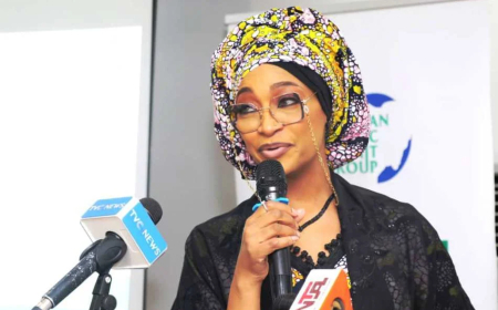 FG backs 100-day tourism calendar to unlock $100bn economy