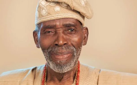 Olu Jacobs suffered from degenerative brain disease — Joke Silva