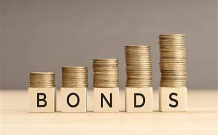 Nigeria raises N748.6bn from FGN bonds as rates ease