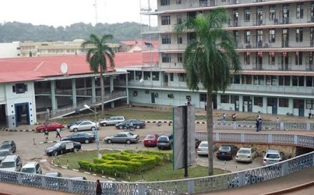 UCH allied health workers begin indefinite strike