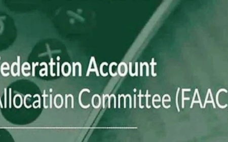 FG, states, LGs share N2.34tn as revenue falls