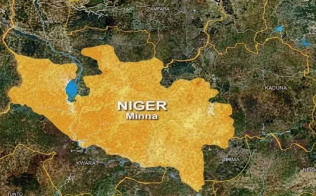 2027: Niger IDPs say returning to ancestral home is priority