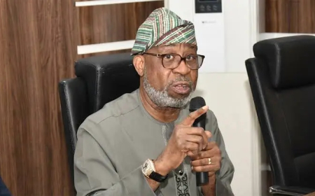 Alake sends team to probe Niger miners’ deaths