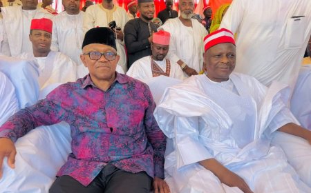 OK movement demands apology from NDC, rejects intimidation