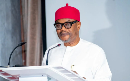 Forgery trial: Court grants ex-minister Nnaji passport for medical trip