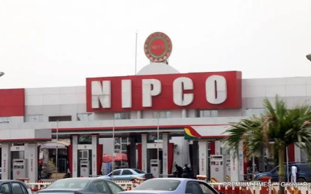 NIPCO plans $3bn gas project, eyes indigenous construction