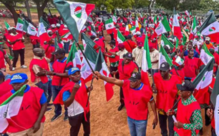 Alleged Fatal Assault: NLC declares strike in Delta