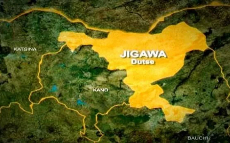 Hisbah arrests eight over homosexuality in Jigawa