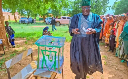 Yobe deputy gov commends electoral commission for peaceful LG poll