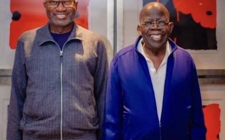 Tinubu, Otedola meet at private dinner in France
