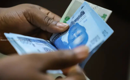 Naira rises, now N1,370/$ in parallel market
