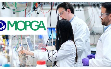2027 France Government MOPGA Visiting Fellowship Program (Fully Funded)