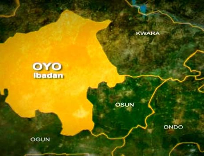 Oyo nabs 55 environmental offenders