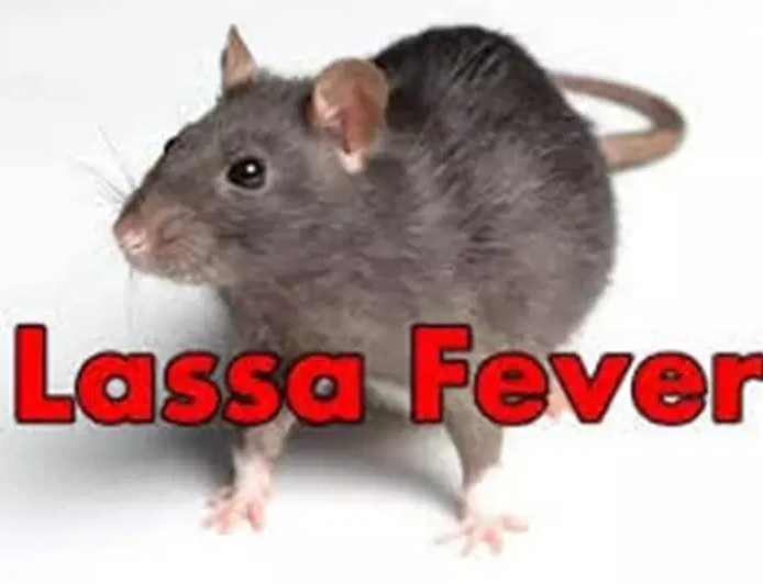 Lassa fever: NCDC urges Nigerians to step up prevention