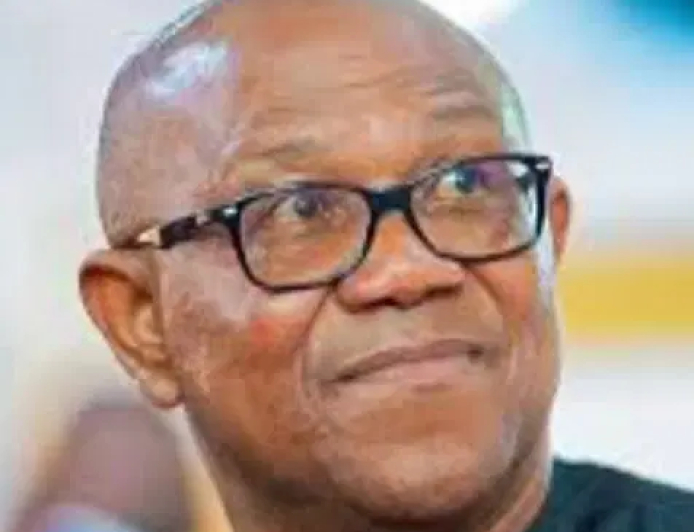 Gov Peter Obi and record of public debt in Anambra