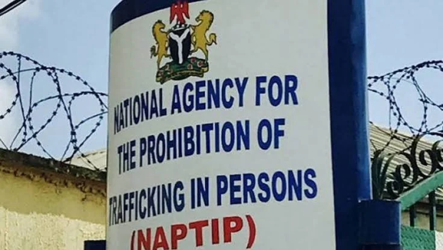 NAPTIP decries CSOs’ involvement in human trafficking