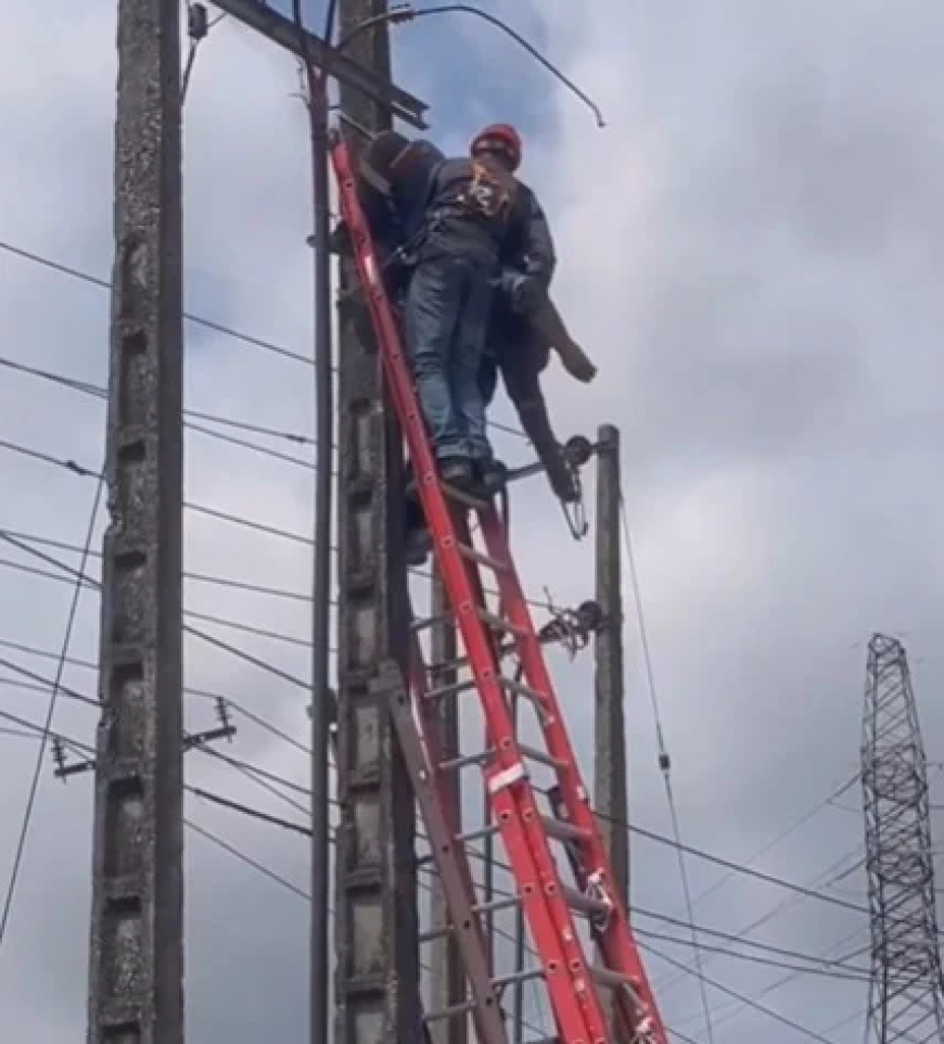IKEDC worker rescued after suffering electric shock on Lagos power pole