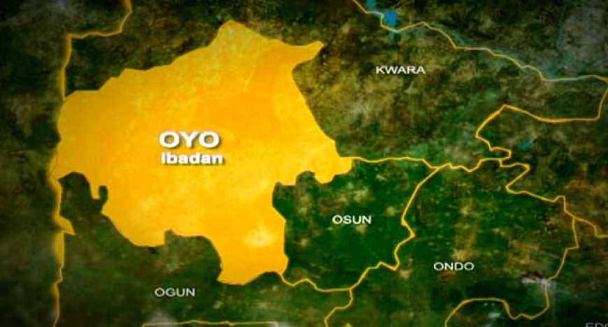 Oyo nabs 55 environmental offenders