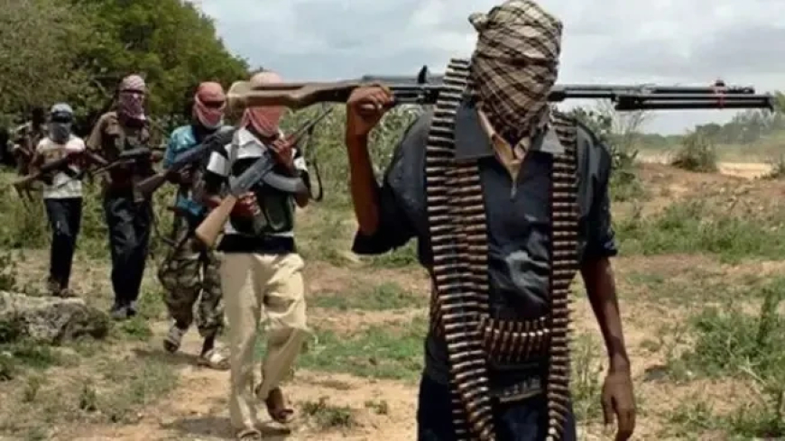 Bandits threaten to takeover Sokoto community, demand N40m levy