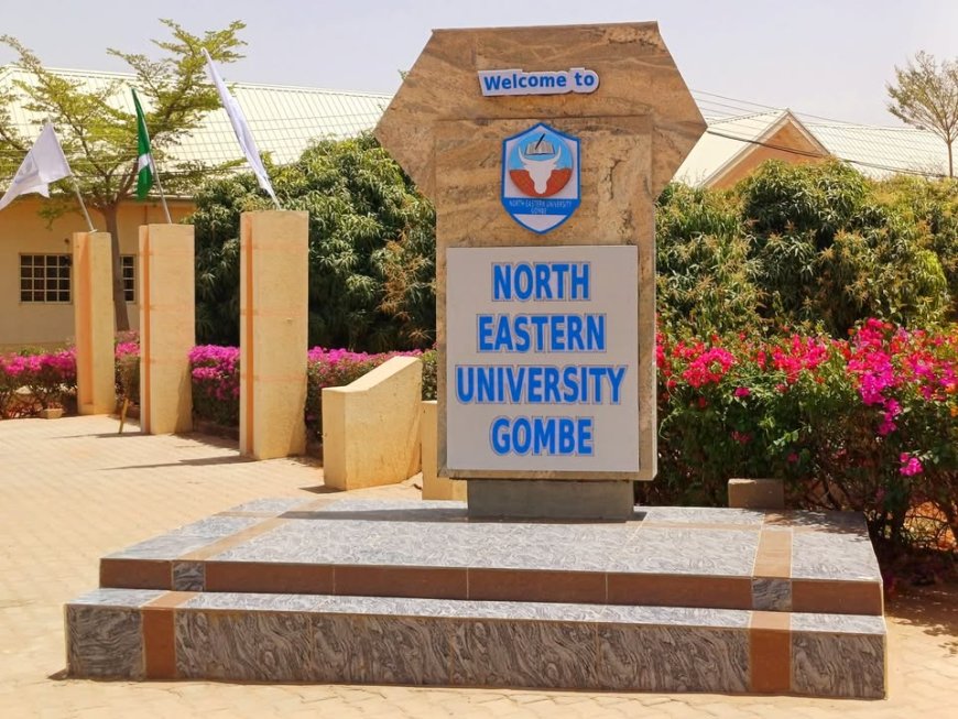 Gombe varsity approves 65% salary increase for staf